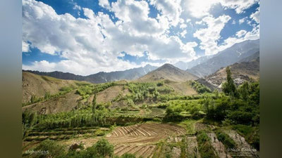 Изрображение 'ПРОИЗВОДСТВО ОПИУМА В АФГАНИСТАНЕ ВЫРОСЛО НА 43%'