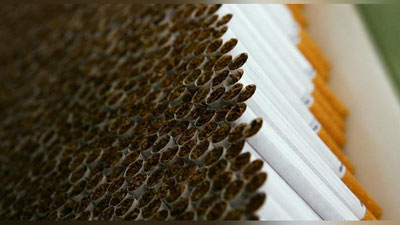 'Молия вазирлиги тамаки маҳсулотлари нархи ошиши ҳақидаги хабарларни рад этди'ning rasmi