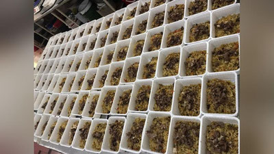 Изрображение 'Национальная палата инновационного здравоохранения развезла плов сотрудникам правопорядка'