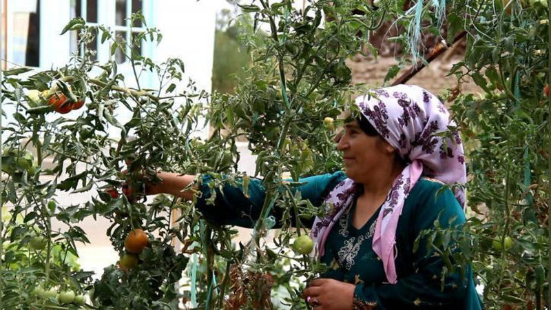 'O‘zLiDeP faollari kosonsoylik Zulfiya Qosimovaga limonariya tashkil etishda ko`maklashadi'ning rasmi