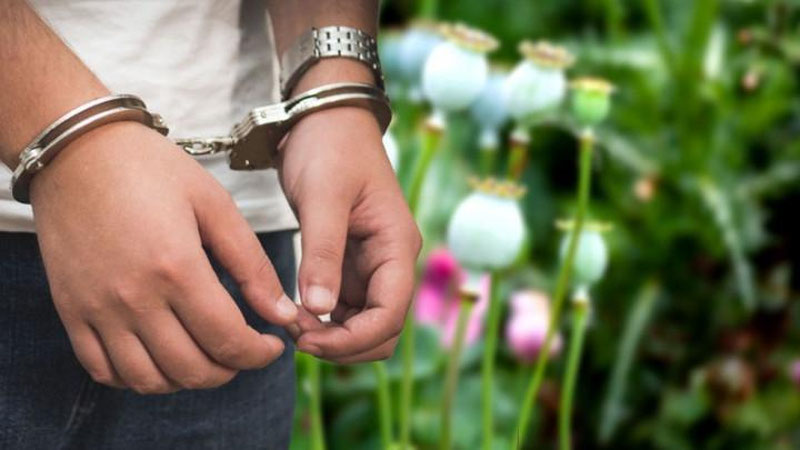 'Buxoroda o`z xonadonida «ko`knor» parvarishlayotgan fuqaro qo`lga olindi'ning rasmi