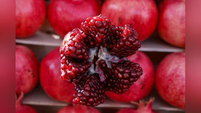 Изрображение 'Поселок в Кашкадарье стал первой агротуристической деревней в Узбекистане'