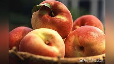 'Шафтоли ва пўртахол (Ҳикоя)'ning rasmi