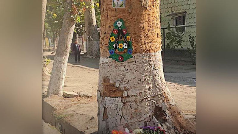Изрображение 'В Ташкенте "Дамас" сбил 4-х школьников: один подросток погиб, трое серьезно пострадали'