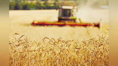 'O`zbekistonda agronomlar maktabi tashkil etiladi'ning rasmi