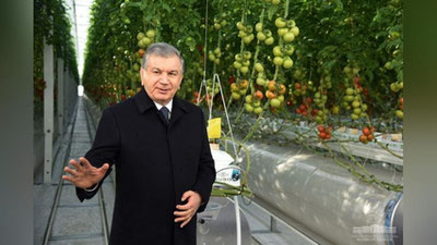 Изрображение 'Президент посетил инновационный тепличный комплекс в Ханкинском районе (фото)'