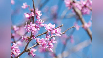 ' 7 mart kuni havo o`zgarib turadi, yog`ingarchilik bo`lmaydi'ning rasmi