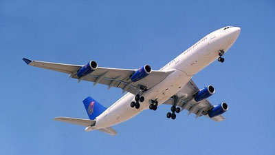 Изрображение 'В США САМОЛЕТ ЕДВА НЕ ПОТЕРПЕЛ КРУШЕНИЕ ИЗ-ЗА СТАИ ПТИЦ'