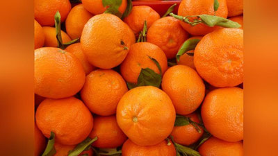 'Mandarin narxlari oshib ketishi yuzasidan Respublika bo`ylab kuzatuv ishlari olib borildi'ning rasmi