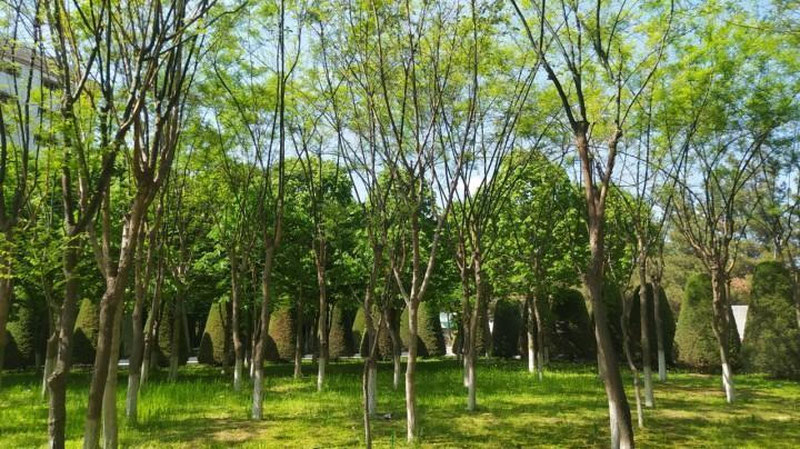 Изрображение 'В столице во второй половине дня возможен кратковременный дождь'