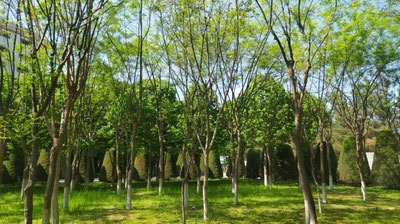 Изрображение 'В столице во второй половине дня возможен кратковременный дождь'