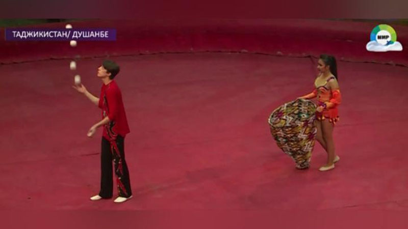 Изрображение 'ТАШКЕНТСКИЙ ЦИРК НА ГАСТРОЛЯХ В ДУШАНБЕ (ВИДЕО)'
