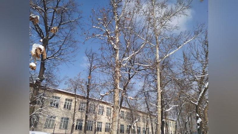 Изрображение 'В Ташкенте сегодня потеплеет до +4: погода на 22 февраля'
