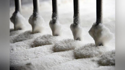 'O`zbekistonda shakar ishlab chiqarish hajmi 3 barobarga oshgan'ning rasmi