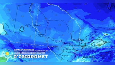 Изрображение 'Узгидромет показал, как арктический воздушный поток будет охватывать Узбекистан (видео)'