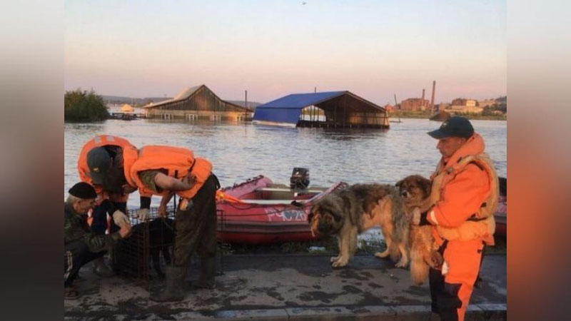 Изрображение 'Иркутская область переживает небывалое наводнение (видео)'