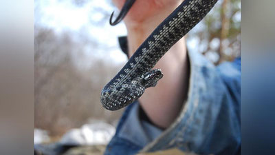 'I l o n (hikoya)'ning rasmi