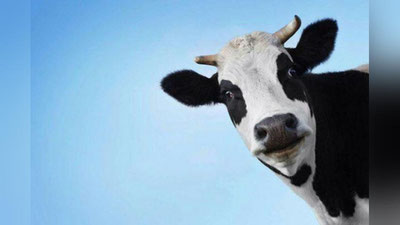 Изрображение 'Возможно все'