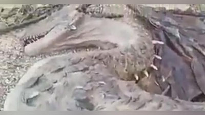 'Йаманда мифологик махлуқнинг исботи топилди (Видео)'ning rasmi