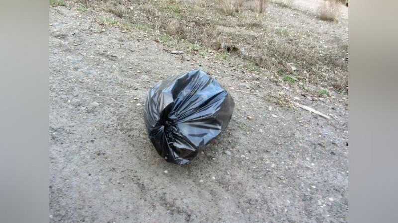 Изрображение 'Страшная находка на поле в Джизакской области: сообщение УВД'