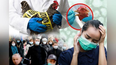 'Dunyo davlatlari tayyorgarlik ko`rishsin, parranda grippi yangi pandemiyani keltirib chiqarishi mumkin — JSST'ning rasmi