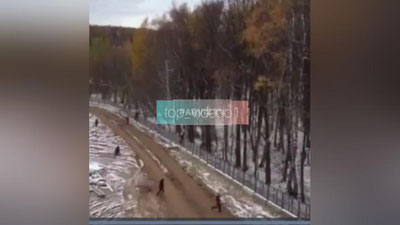 'Rossiyada patentsiz ishlab yurgan yurtdoshlarimiz qanday "jon" saqlashadi (video)'ning rasmi