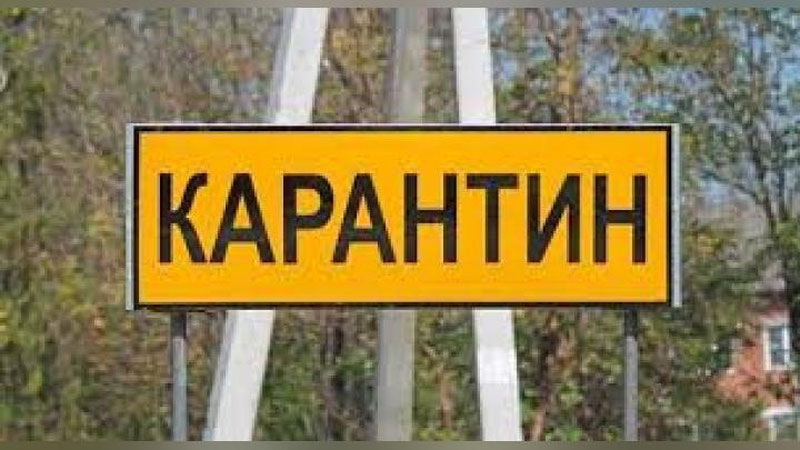 '15 августдан кейин ҳам сақланиб қоладиган карантин чекловлари эълон қилинди'ning rasmi