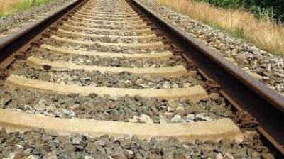 'Навоийда қаровсиз қолдирилган бир бош туяни поезд уриб кетди'ning rasmi