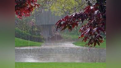 'Bugun kunning ikkinchi yarmida  O`zbekistonda havo o`zgarib, yomg`ir yog`ishi, momaqaldiroq bo`lishi mumkin'ning rasmi