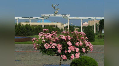 '11 апрель куни қандай об-ҳаво  кузатилади?'ning rasmi