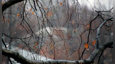 'Tuman, yomg`ir, qor ko`chkisi... Bugun O`zbekiston bo`ylab qanday ob-havo kuzatiladi'ning rasmi