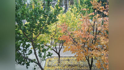 '11 oktyabr kuni kutilayotgan ob-havo ma`lumoti'ning rasmi