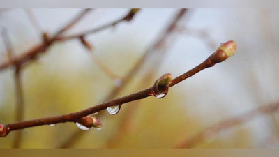 Изрображение 'ПОГОДА НА 16 МАРТА: В НЕКОТОРЫХ РАЙОНАХ ВОЗМОЖЕН ДОЖДЬ'