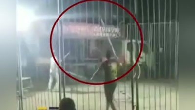 Изрображение 'В Китае тигр сбежал прямо во время выступления в цирке (видео)'