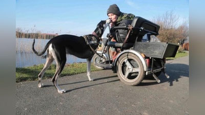 'Уч оёқли ит аёлни ўз жонига қасд қилишдан асраб қолди'ning rasmi