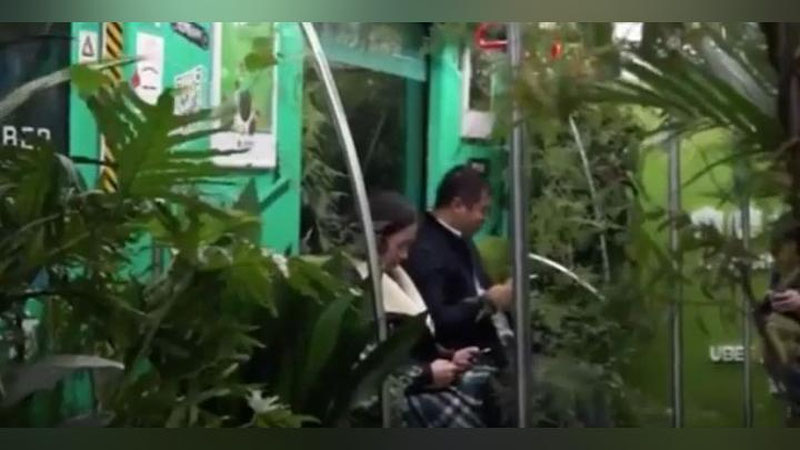 Изрображение 'ВАГОН ПОЕЗДА В КИТАЙСКОМ МЕТРО ПРЕВРАТИЛИ В САД (ВИДЕО)'