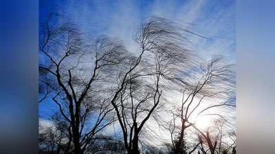 'FVV YaNA KUChLI ShAMOL BO`LIShI MUMKINLIGIDAN OGOHLANTIRDI'ning rasmi