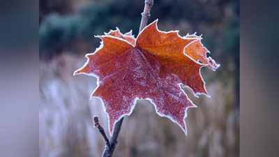 Изрображение 'В Узгидромете рассказали, каким бывает декабрь в стране и о его температурных рекордах'
