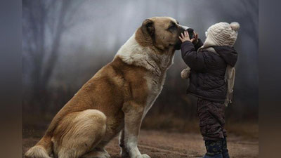 'Британия олимлари уй ҳайвонлари болалар салоҳиятига таъсир этишини аниқлашди'ning rasmi