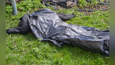 Изрображение 'В КАРШИ АВТОМОБИЛИСТ СНАЧАЛА ПЕРЕЕХАЛ СВОЕГО ЗНАКОМОГО, ПОТОМ ИЗБИЛ ДО СМЕРТИ'