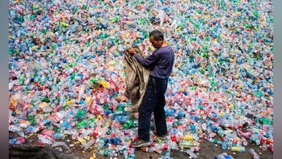 'Олимлар пластмасса идишларни емирадиган мутант фермент яратди'ning rasmi