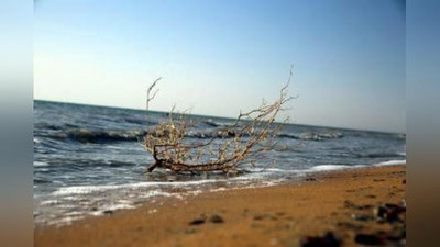 '​Orol oqibatlarini yumshatish yo`lida... Xalqaro anjuman tafsilotlari'ning rasmi