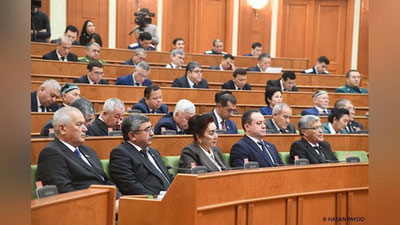 Изрображение 'СЕНАТ РАССМОТРЕЛ ДВА ПАРЛАМЕНТСКИХ ЗАПРОСА ПРЕМЬЕР-МИНИСТРУ'