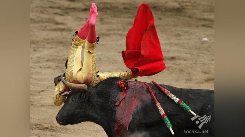 'Peruda buqalar jangi: baxtsiz hodisa'ning rasmi