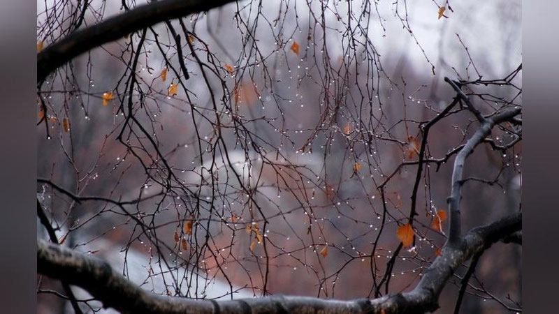 'Hafta oxirida mamlakatimizda havo harorati pasayadi'ning rasmi