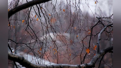 'Hafta oxirida mamlakatimizda havo harorati pasayadi'ning rasmi