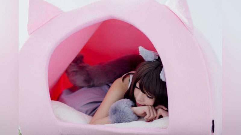 Yapon ayollari mushuklarini yuvishadi. Yapon ayollari mushuklarini yuvishadi.