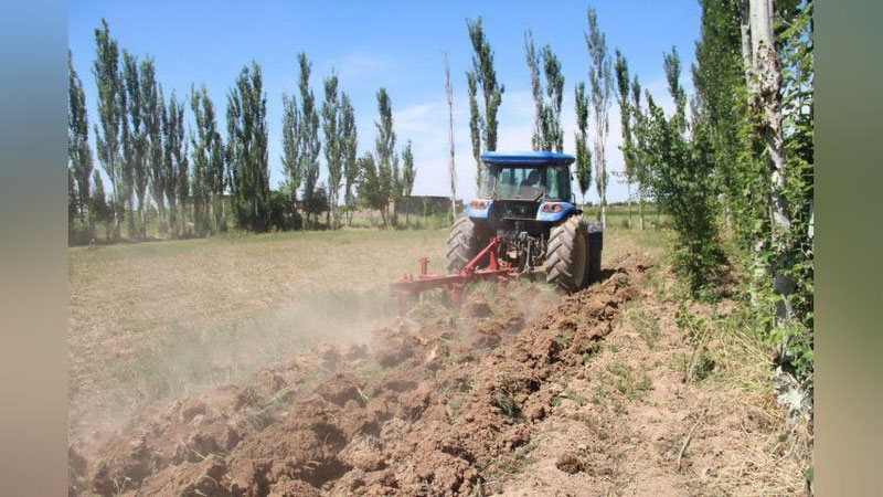 'Қишлоқ хўжалигига мўлжалланган ерларни ижарага беришда ҳоким қарори талаб қилинмайди'ning rasmi