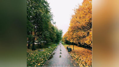 '5 noyabrdan 9 noyabrgacha O`zbekistonda sovuq antisiklon hukmronlik qiladi'ning rasmi