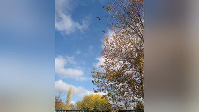 '5 noyabrga  ob-havo  ma`lumoti'ning rasmi